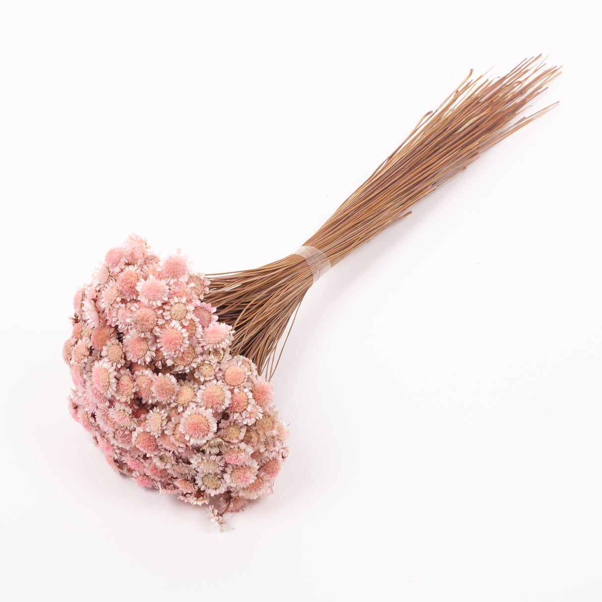 Glixia marqueritte, Dried, Light Pink, 50g Bunch