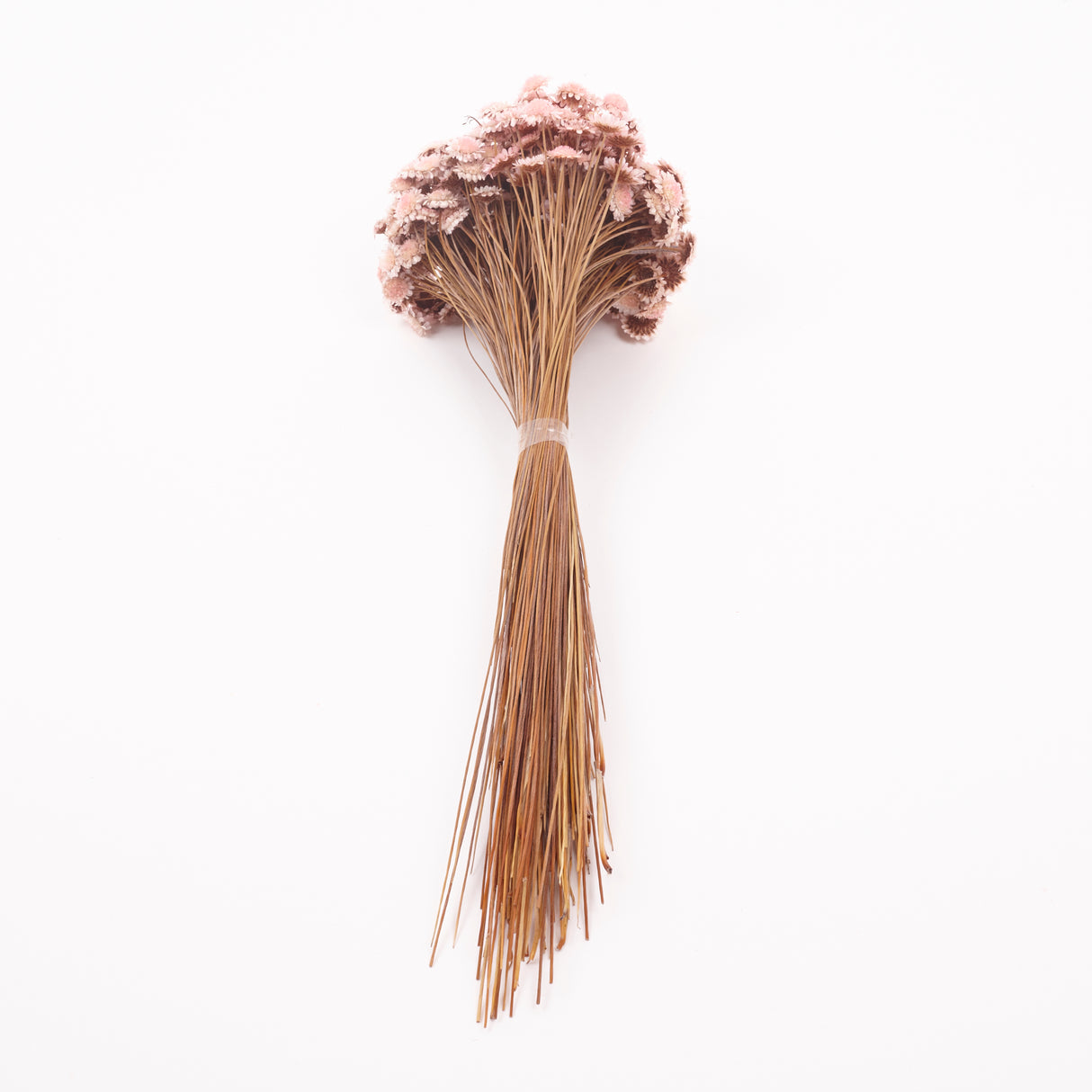 Glixia marqueritte, Dried, Light Pink, 50g Bunch