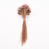 Glixia marqueritte, Dried, Light Pink, 50g Bunch