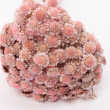 Glixia marqueritte, Dried, Light Pink, 50g Bunch