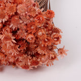 Glixia Giant, Dried, Peach, 50g Bunch