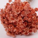 Glixia Giant, Dried, Peach, 50g Bunch