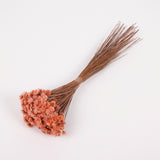 Glixia Giant, Dried, Peach, 50g Bunch