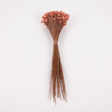Glixia Giant, Dried, Peach, 50g Bunch