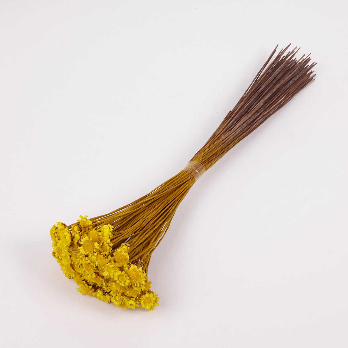 Glixia Giant, Dried, Yellow, 50g Bunch