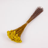 Glixia Giant, Dried, Yellow, 50g Bunch