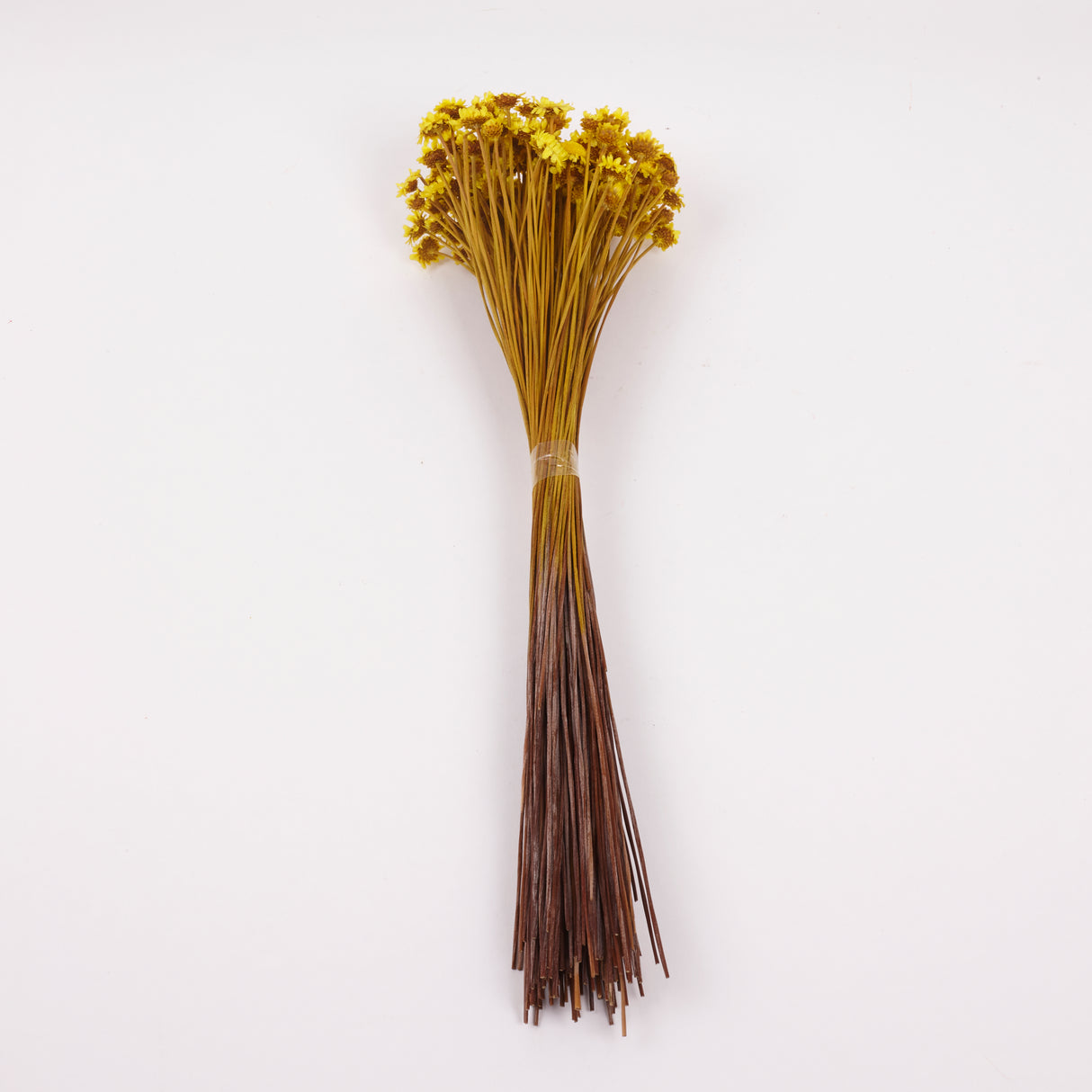 Glixia Giant, Dried, Yellow, 50g Bunch