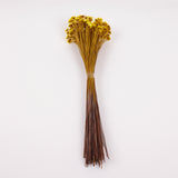 Glixia Giant, Dried, Yellow, 50g Bunch