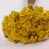 Glixia Giant, Dried, Yellow, 50g Bunch