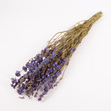 Delphinium Flowers, Dried, Natural Lavender Blue