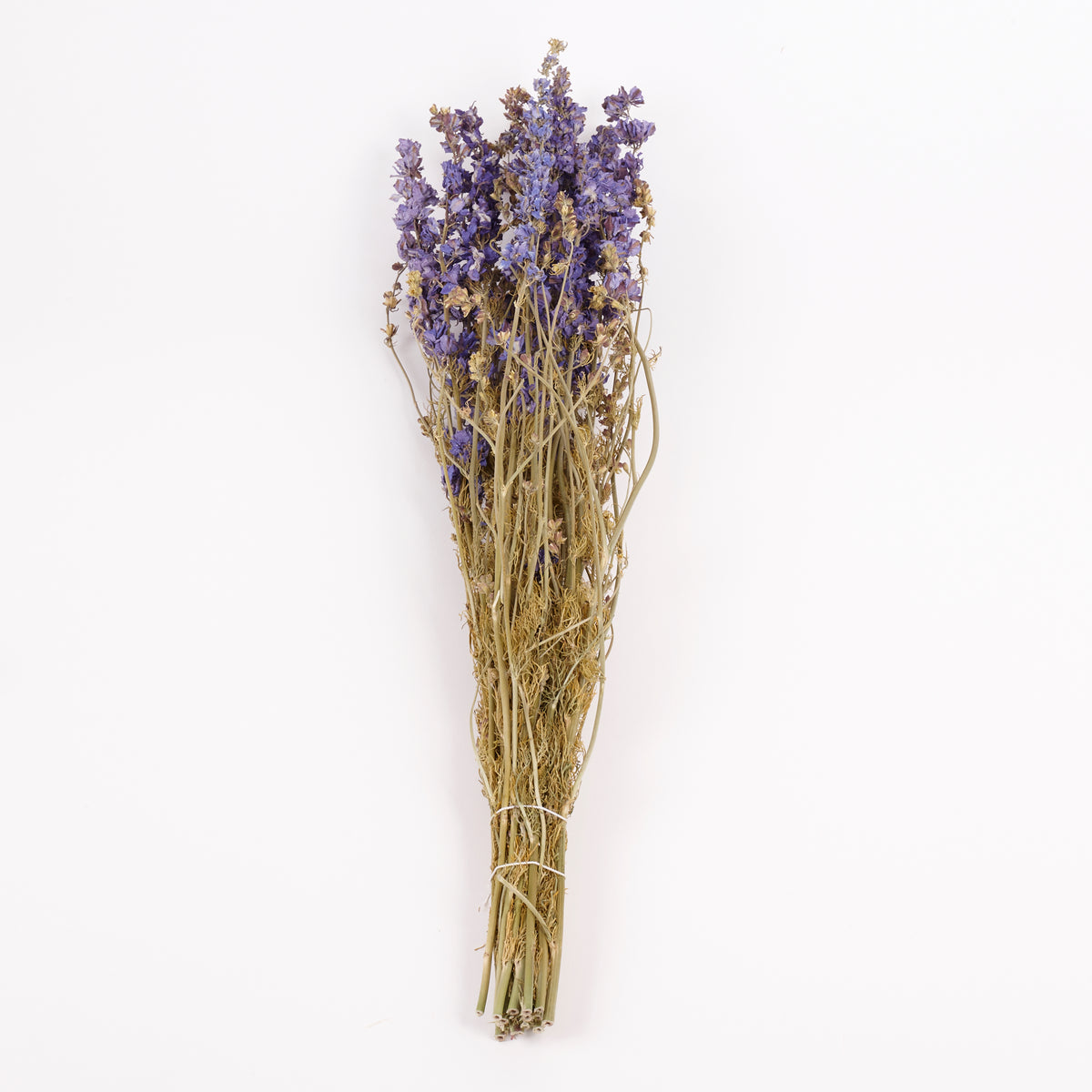 Delphinium Flowers, Dried, Natural Lavender Blue