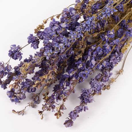 Delphinium Flowers, Dried, Natural Lavender Blue