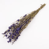 Delphinium Flowers, Dried, Natural Blue