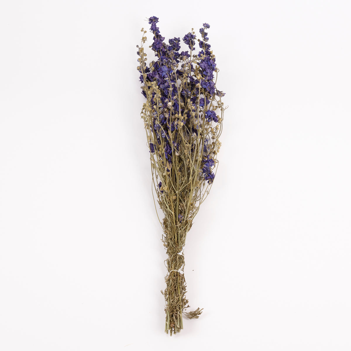 Delphinium Flowers, Dried, Natural Blue