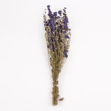 Delphinium Flowers, Dried, Natural Blue