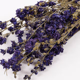 Delphinium Flowers, Dried, Natural Blue