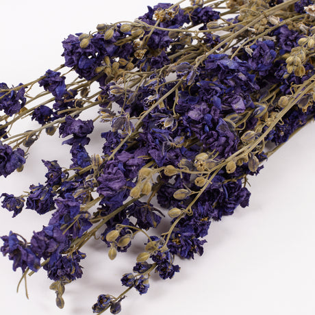 Delphinium Flowers, Dried, Natural Blue