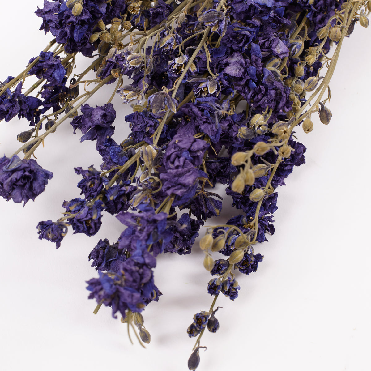 Delphinium Flowers, Dried, Natural Blue