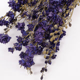 Delphinium Flowers, Dried, Natural Blue