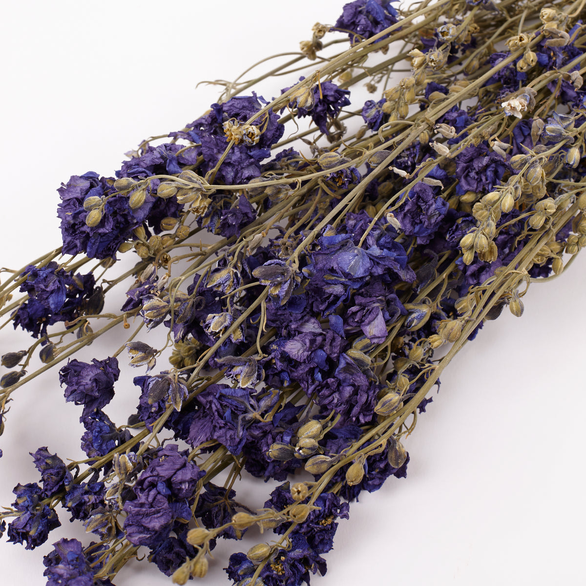 Delphinium Flowers, Dried, Natural Blue