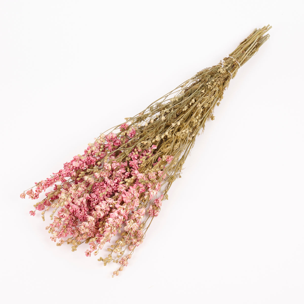 Delphinium Flowers, Dried, Natural Pink