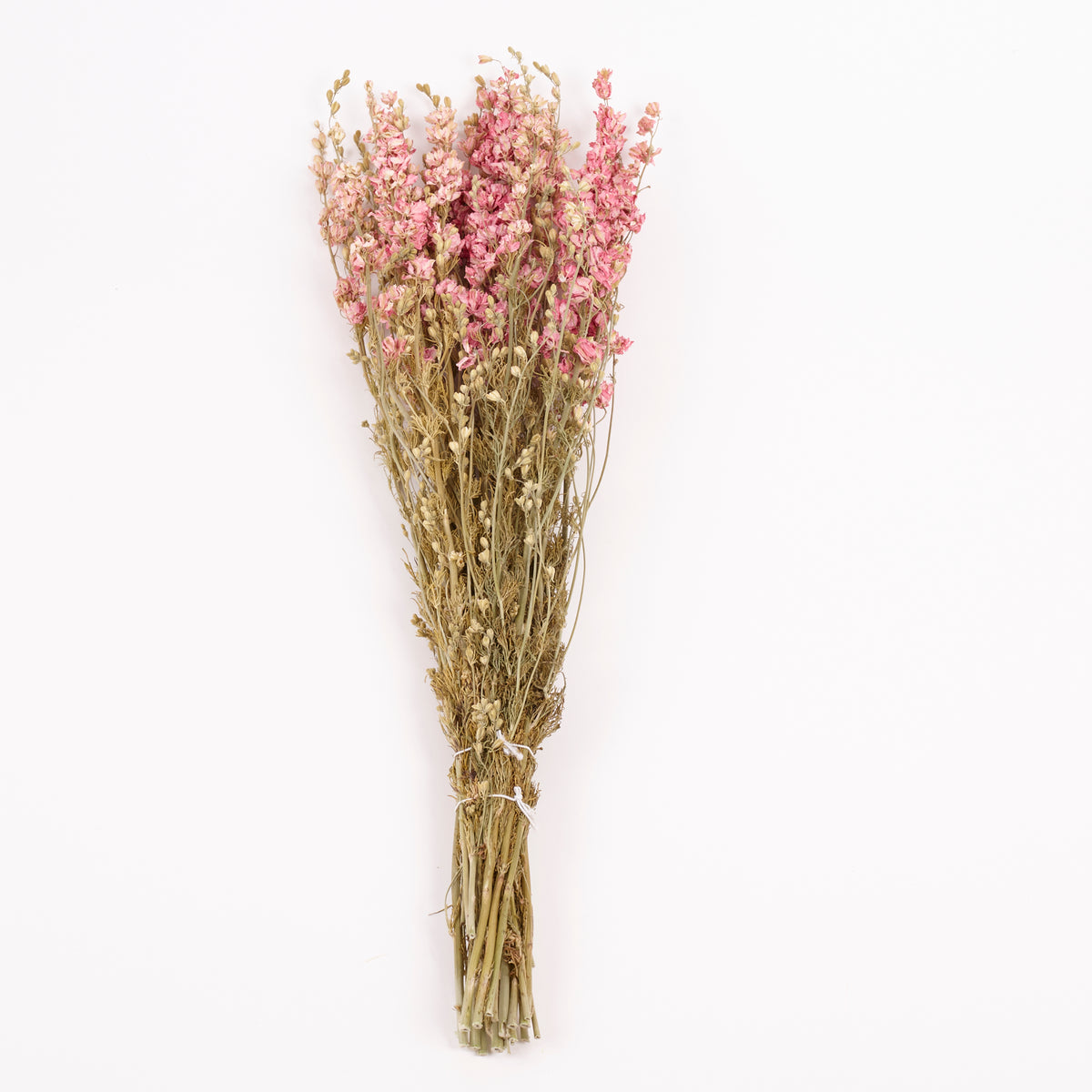 Delphinium Flowers, Dried, Natural Pink
