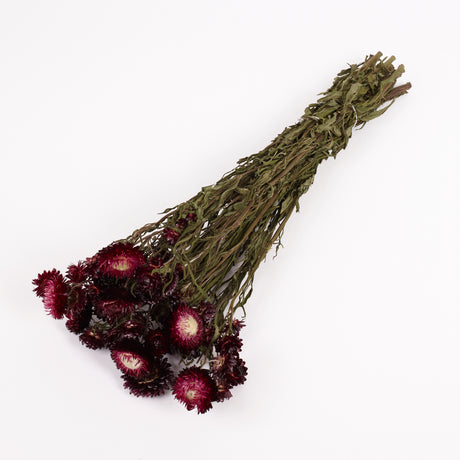 Helichrysum, Dried, Natural Dark Pink, Bunch