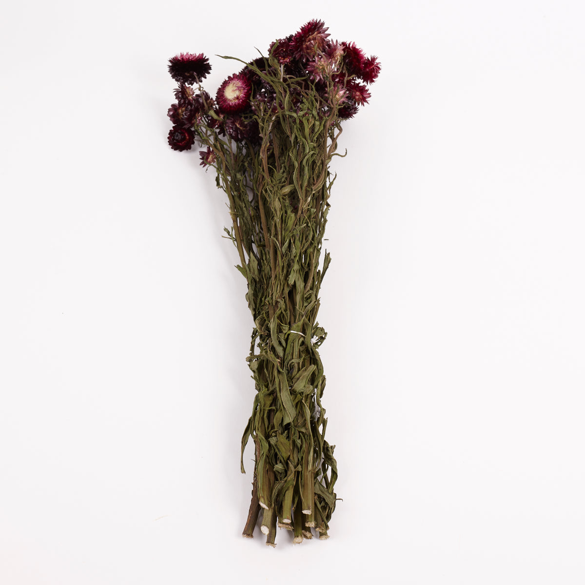 Helichrysum, Dried, Natural Dark Pink, Bunch