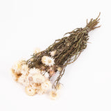 Helichrysum, Dried, Natural White, Bunch