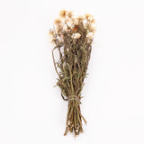 Helichrysum, Dried, Natural White, Bunch