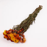 Helichrysum, Dried, Natural Orange, Bunch