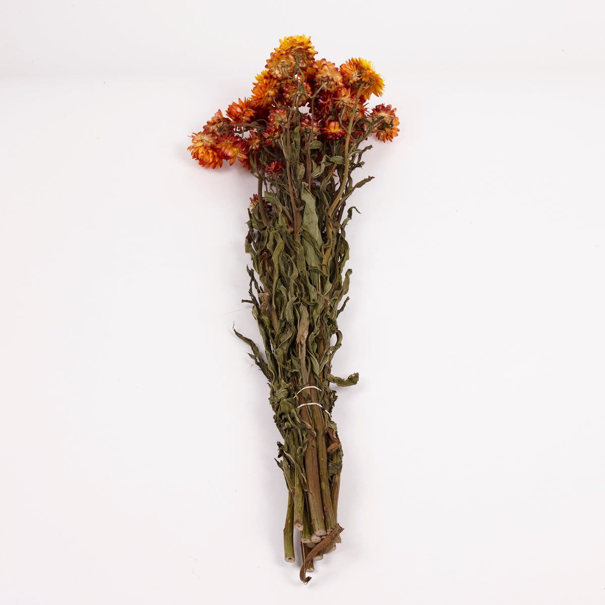 Helichrysum, Dried, Natural Orange, Bunch