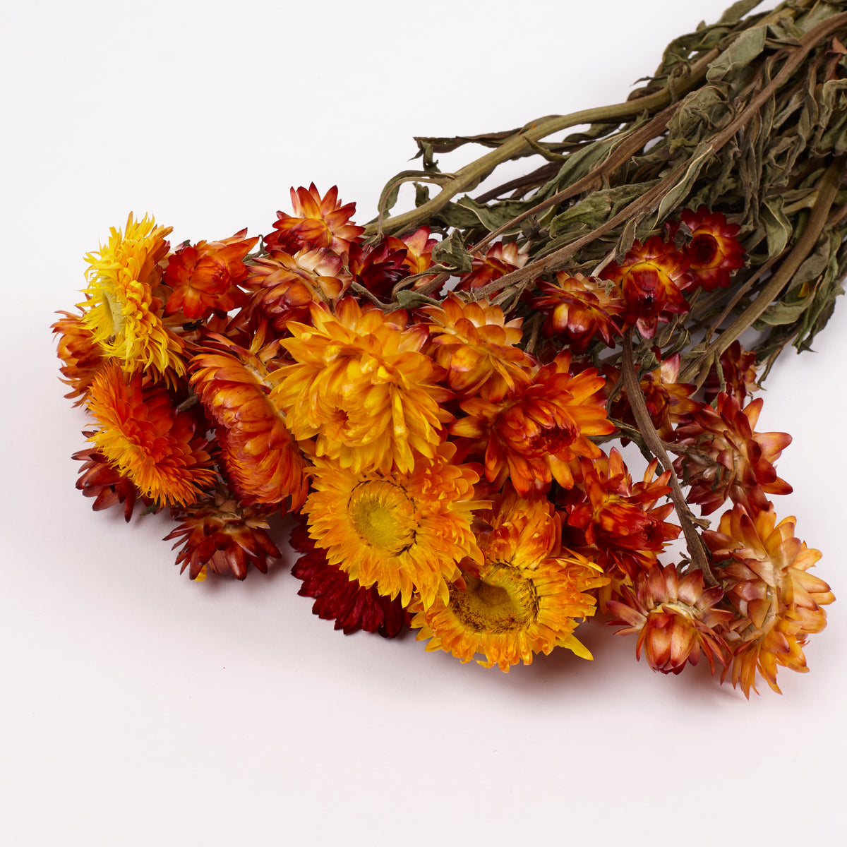 Helichrysum, Dried, Natural Orange, Bunch