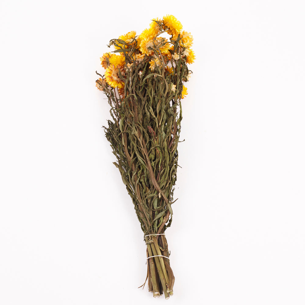 Helichrysum, Dried, Natural Yellow, Bunch