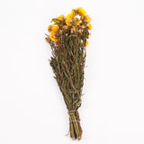Helichrysum, Dried, Natural Yellow, Bunch