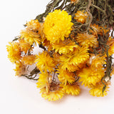 Helichrysum, Dried, Natural Yellow, Bunch