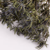 Eryngium, Orion, Natural Blue, Bunch