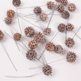 Sweetgum Pods, Whitewashed, on Wire, Pack x 25