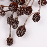 Murii Branches, Natural & Dried, 5-7 Cones, Bunch x 5