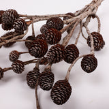 Murii Branches, Natural & Dried, 5-7 Cones, Bunch x 5