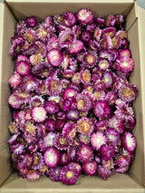 Helichrysum Heads, Dried, Natural Dark Pink, per 1KG