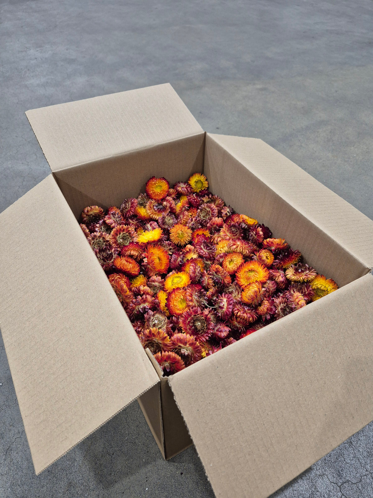 Helichrysum Heads, Dried, Natural Orange, per 1KG