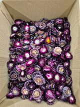 Helichrysum Heads, Dried, Natural Purple, per 1KG