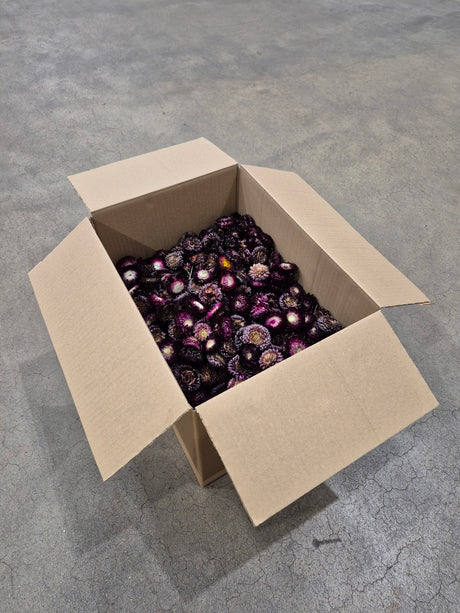 Helichrysum Heads, Dried, Natural Purple, per 1KG