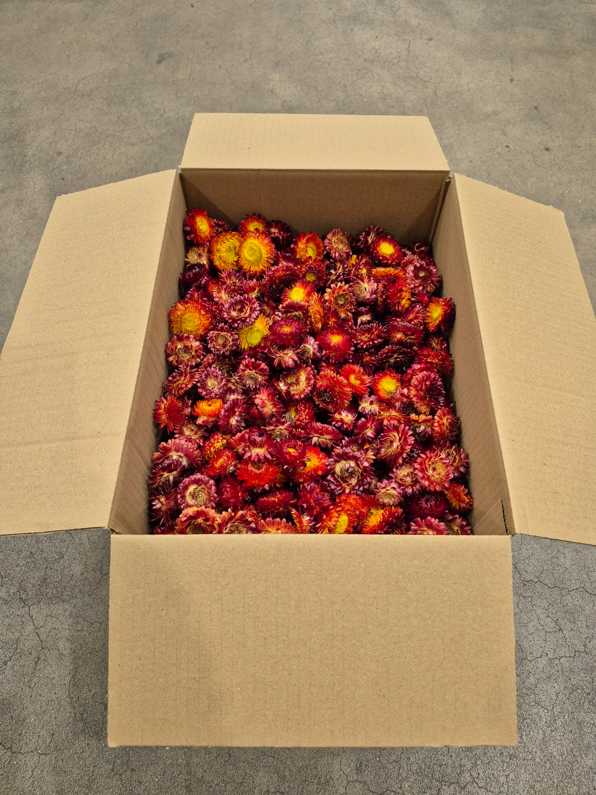 Helichrysum Heads, Dried, Natural Red/Orange, per 1KG