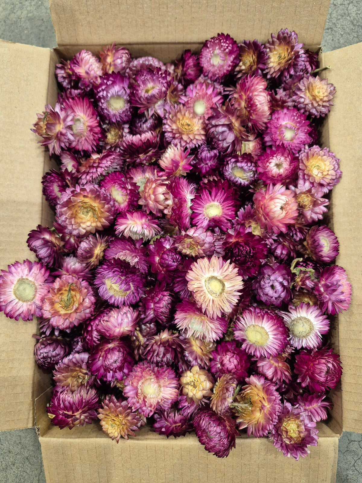 Helichrysum Heads, Dried, Natural Dark Pink, 200g