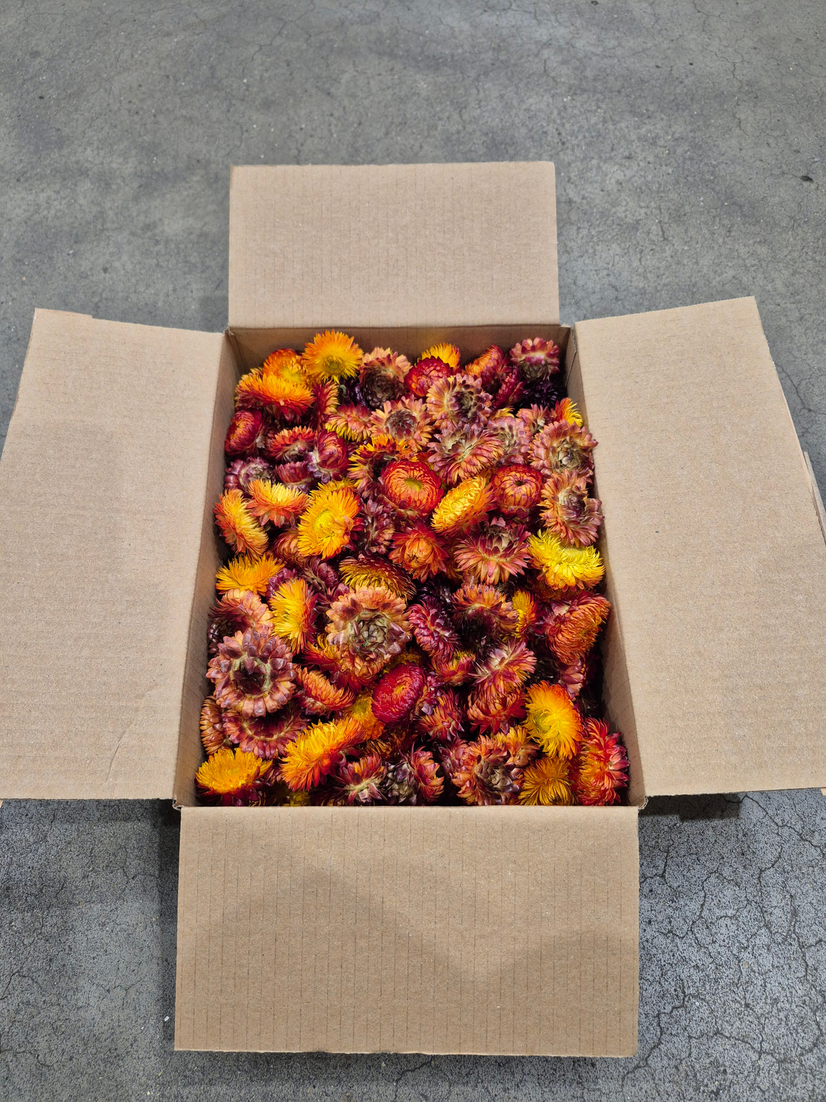 Helichrysum Heads, Dried, Natural Orange, 200g