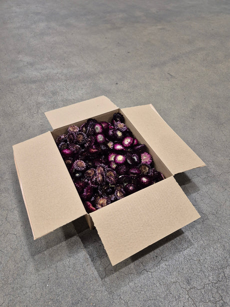 Helichrysum Heads, Dried, Natural Dark Purple, 200g