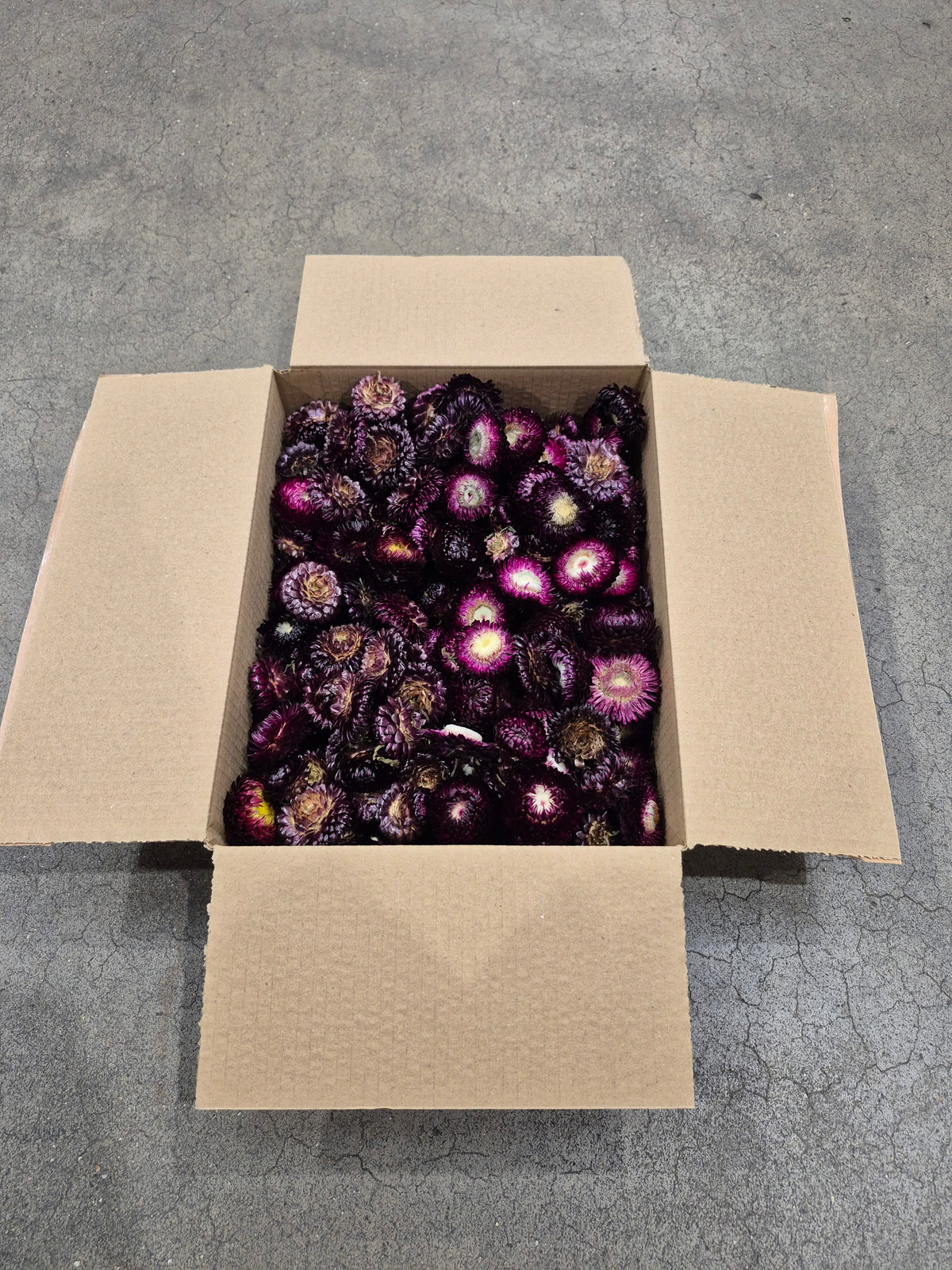 Helichrysum Heads, Dried, Natural Dark Purple, 200g