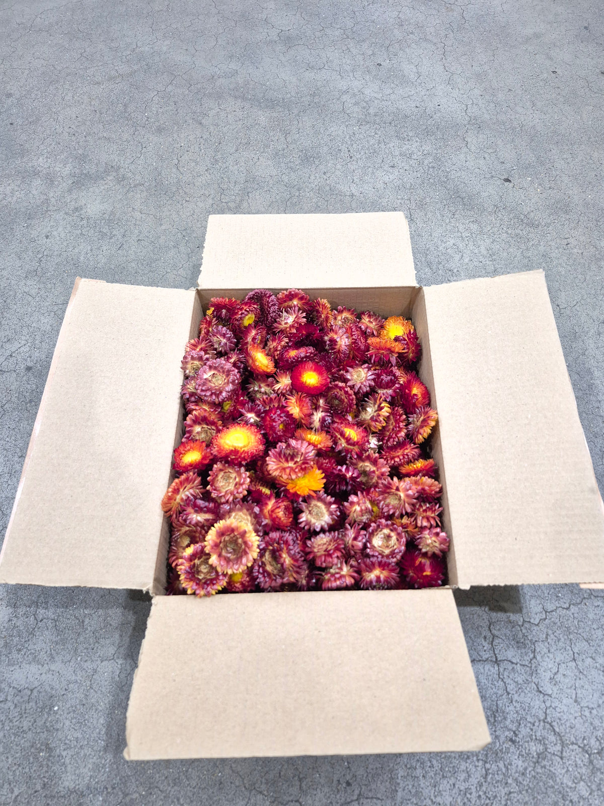 Helichrysum Heads, Dried, Natural Red/Orange, 200g